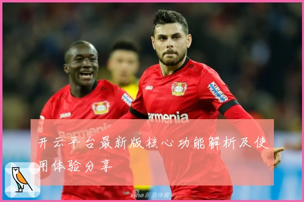 开云平台最新版核心功能解析及使用体验分享