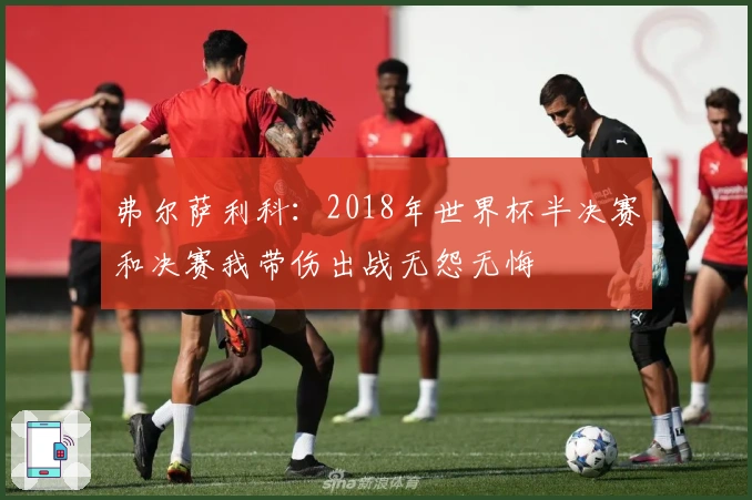 弗尔萨利科：2018年世界杯半决赛和决赛我带伤出战无怨无悔