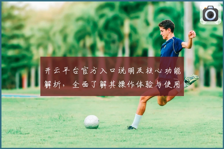 开云平台官方入口说明及核心功能解析，全面了解其操作体验与使用实用技巧